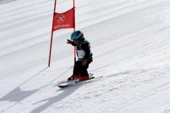 Ski Vereinsrennen 2014